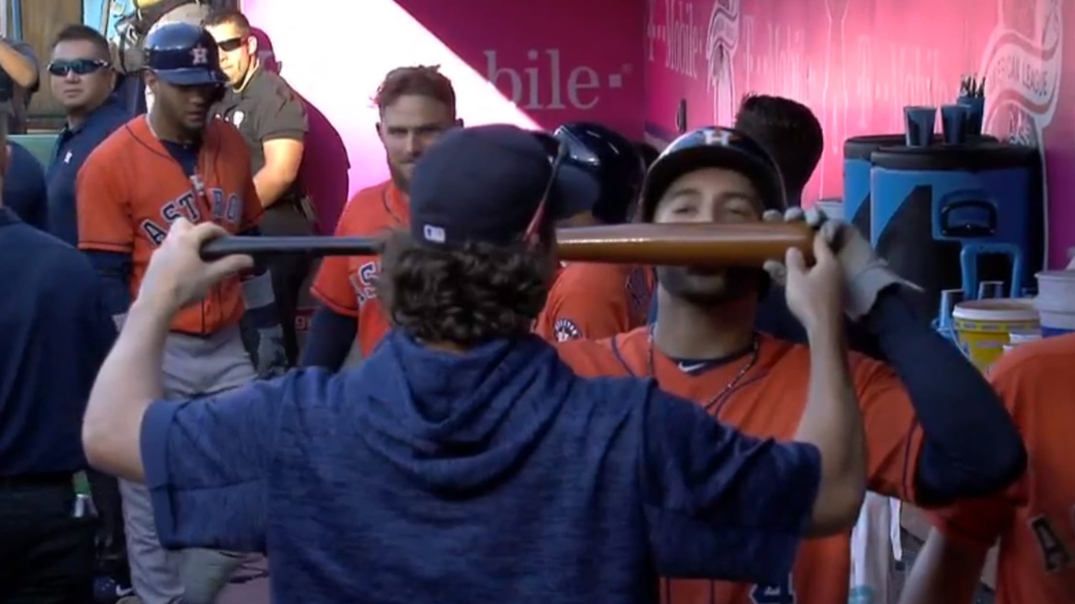 Springer kisses bat