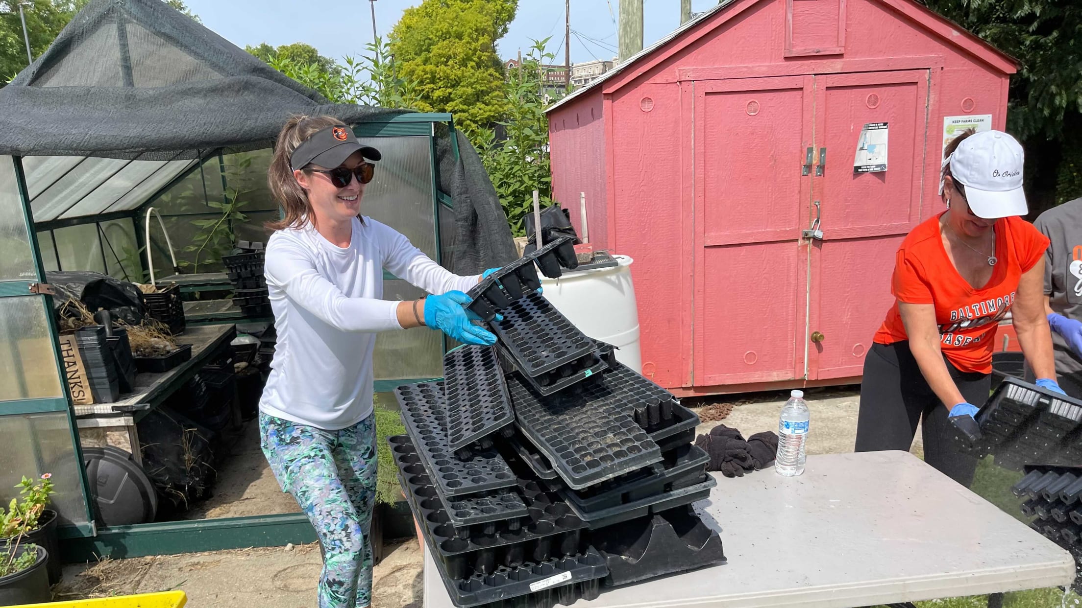 bal-whitelock-community-farm-5