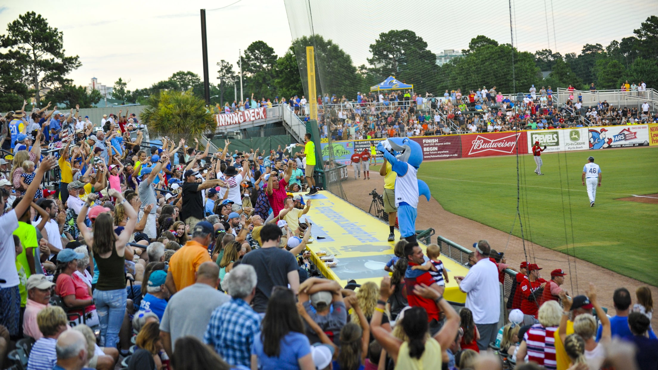 Myrtle Beach Pelicans - Braves Weekend features an appearance by