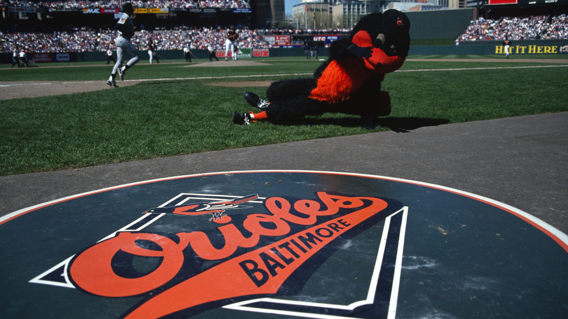 The Baltimore Orioles mascot performs during an interleague