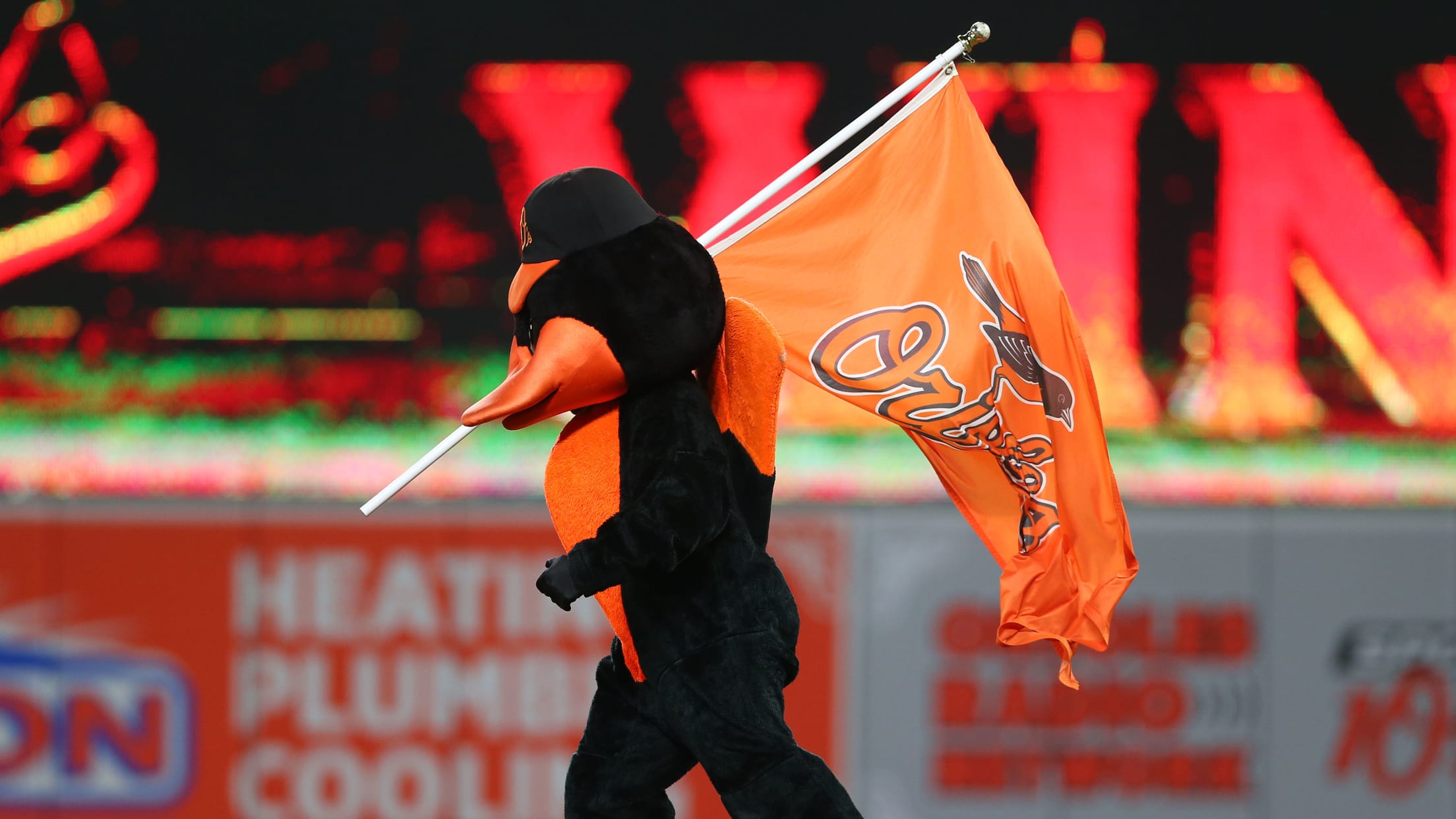 Orioles announce new 'Bird Bath Splash Zone' for fans to mimic player  celebrations