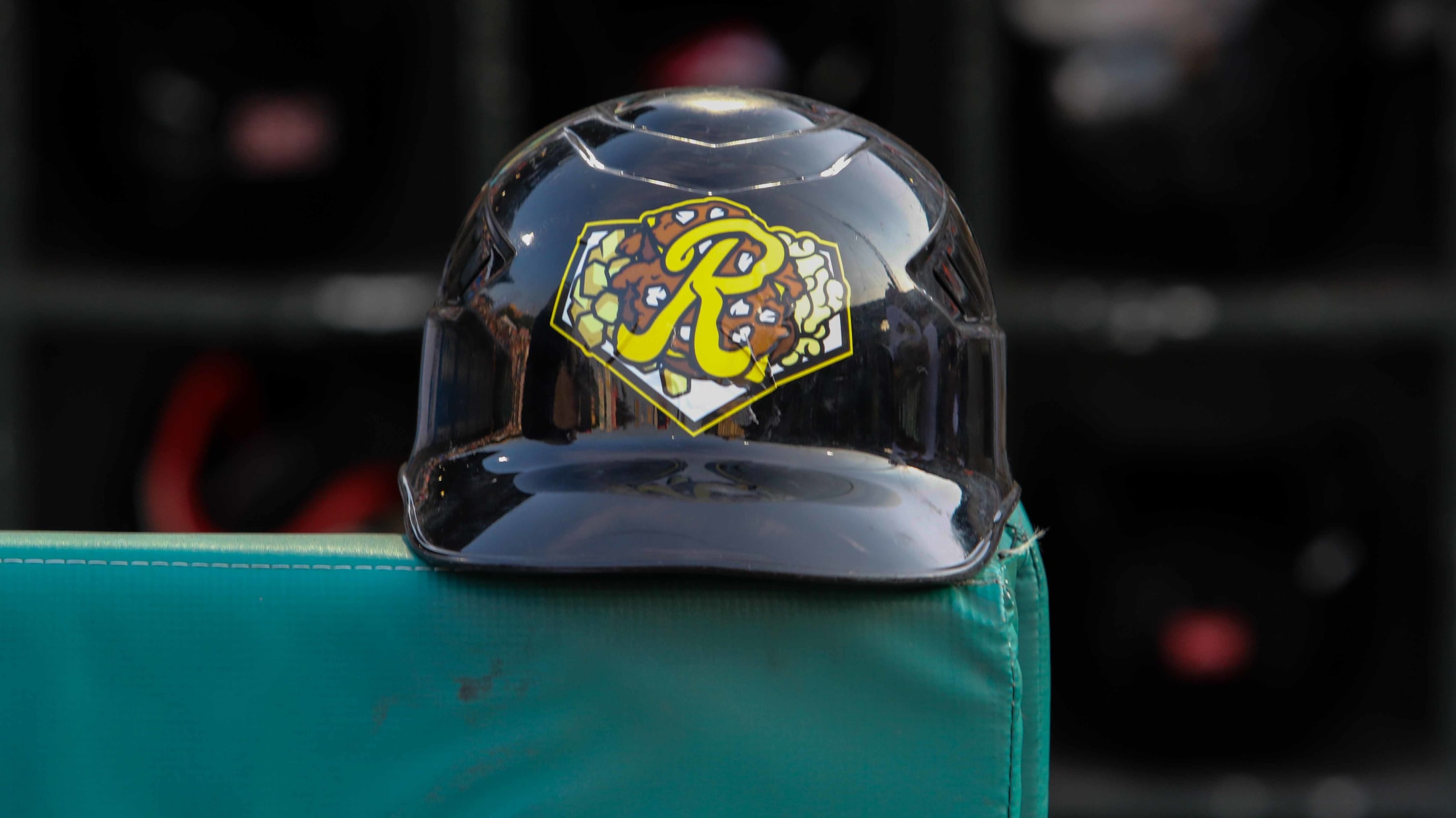 Rochester Red Wings unveil Garbage Plate mascot 'Mac' for Frontier Field