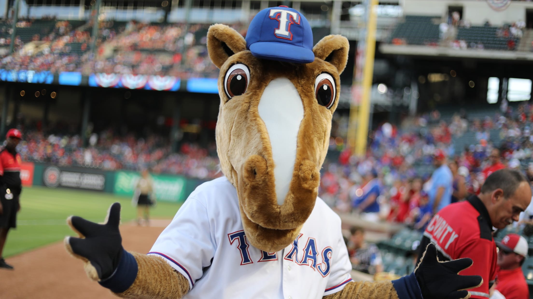 Texas Rangers Fans Show Their Team Spirit with Blue Hair - wide 2