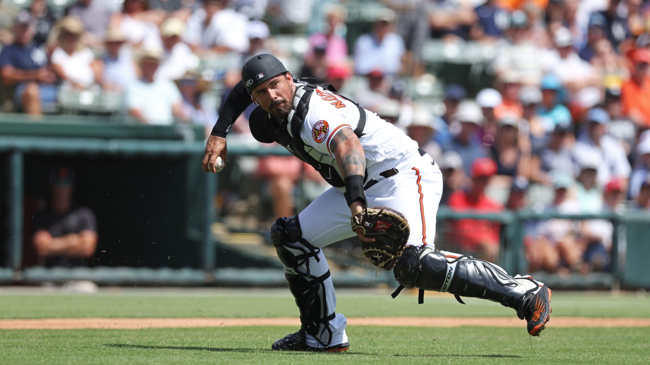 bal-spring-training-week-one-073