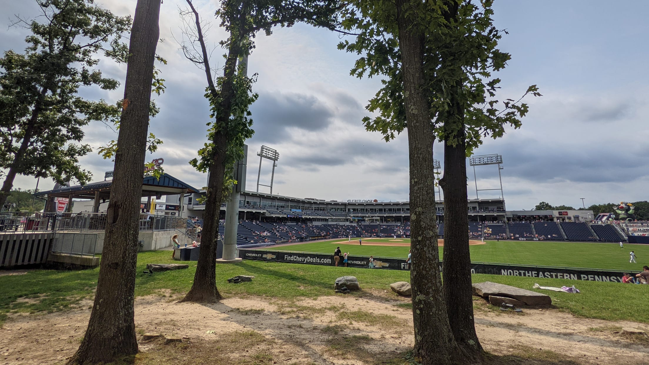 2568-PNC-Field-trees