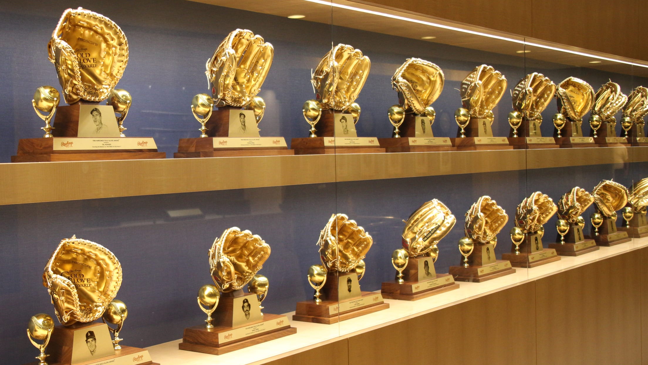 Gold Glove Awards line two shelves