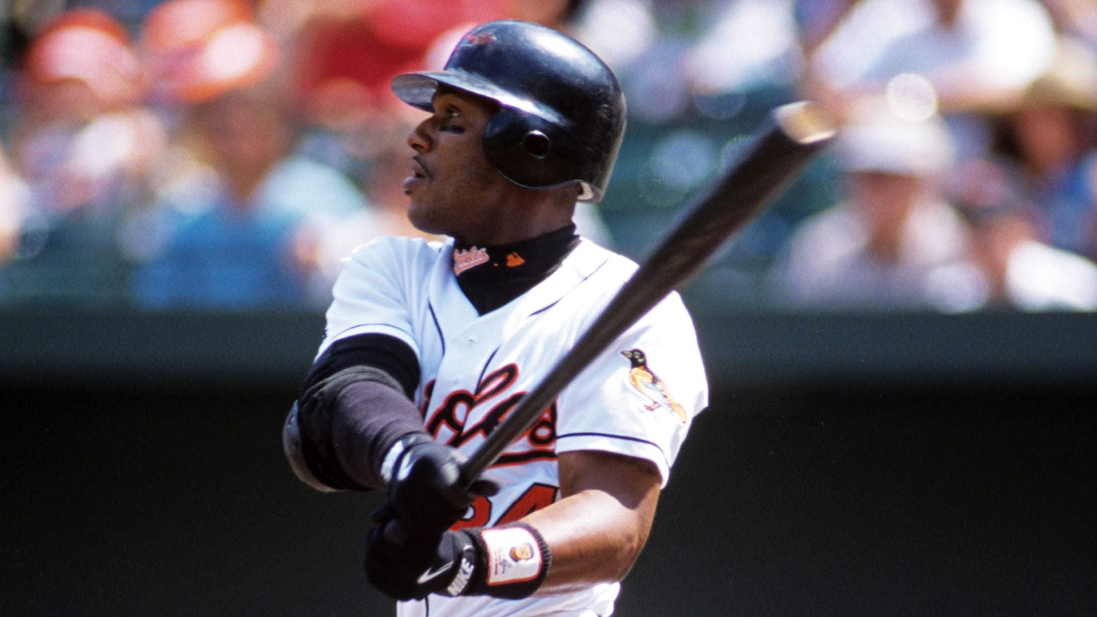 bal-image-birdland-insider-davis-013