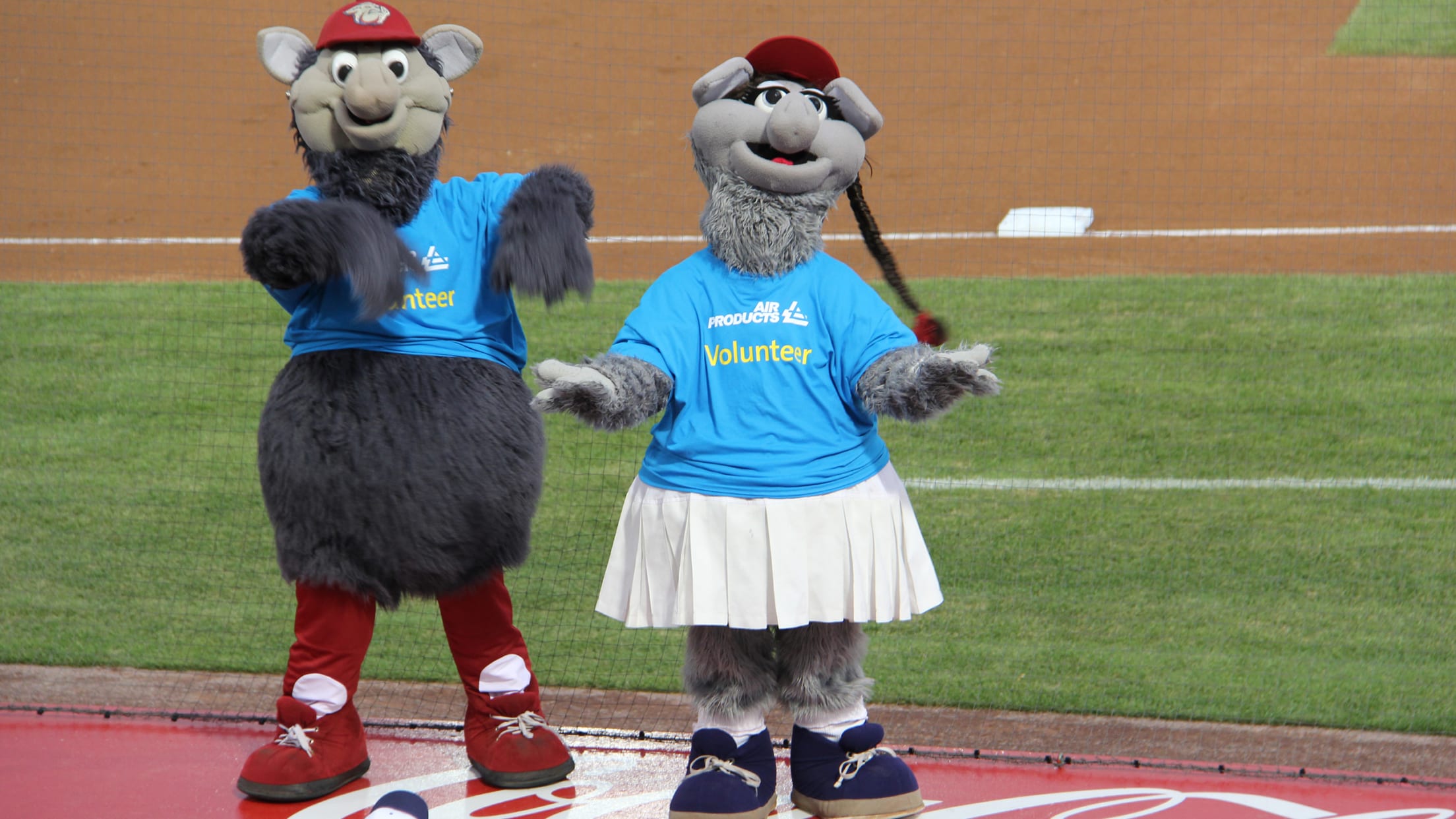 How the Lehigh Valley IronPigs Got Their Name