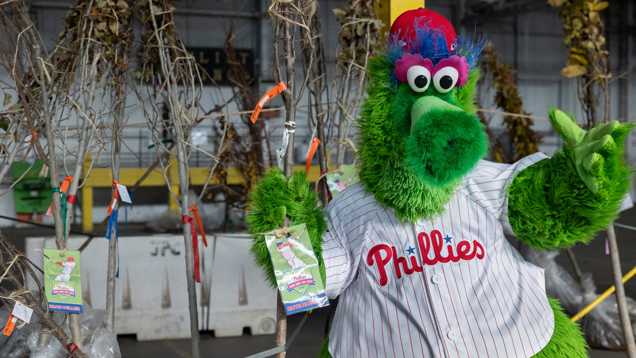 The Philadelphia Phillies salute the Air Force