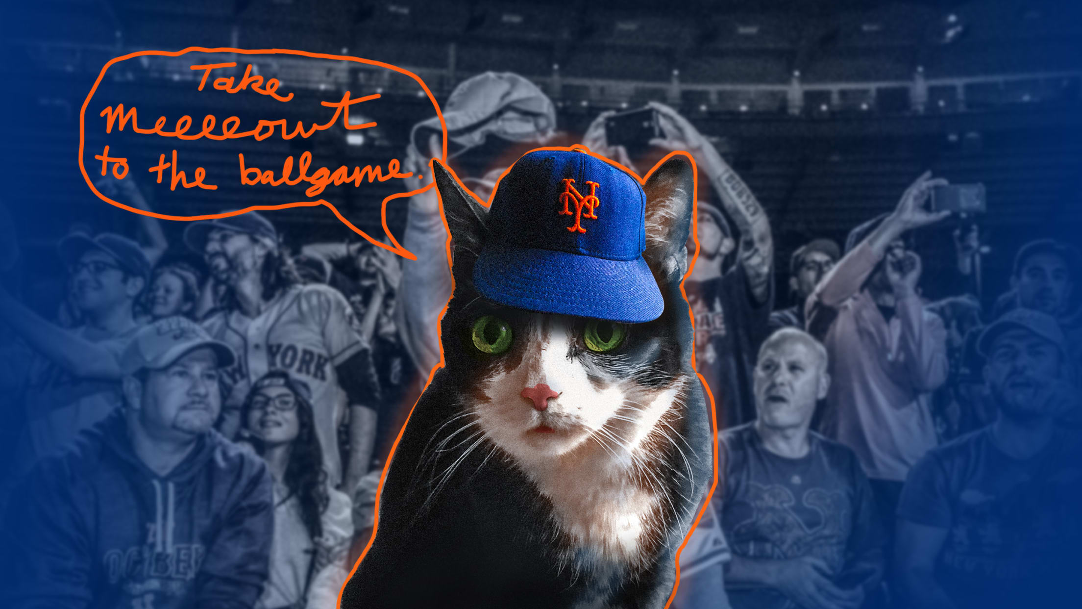 Take a Cat to a Baseball Game
