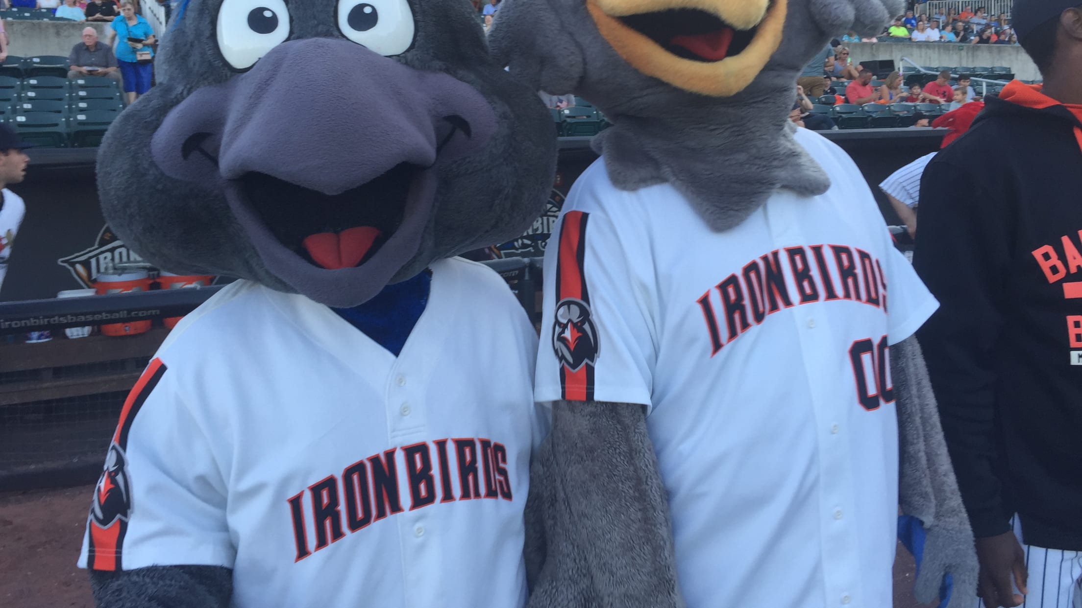 Event Feedback: Jersey Shore BlueClaws - Minor High-A vs Aberdeen IronBirds