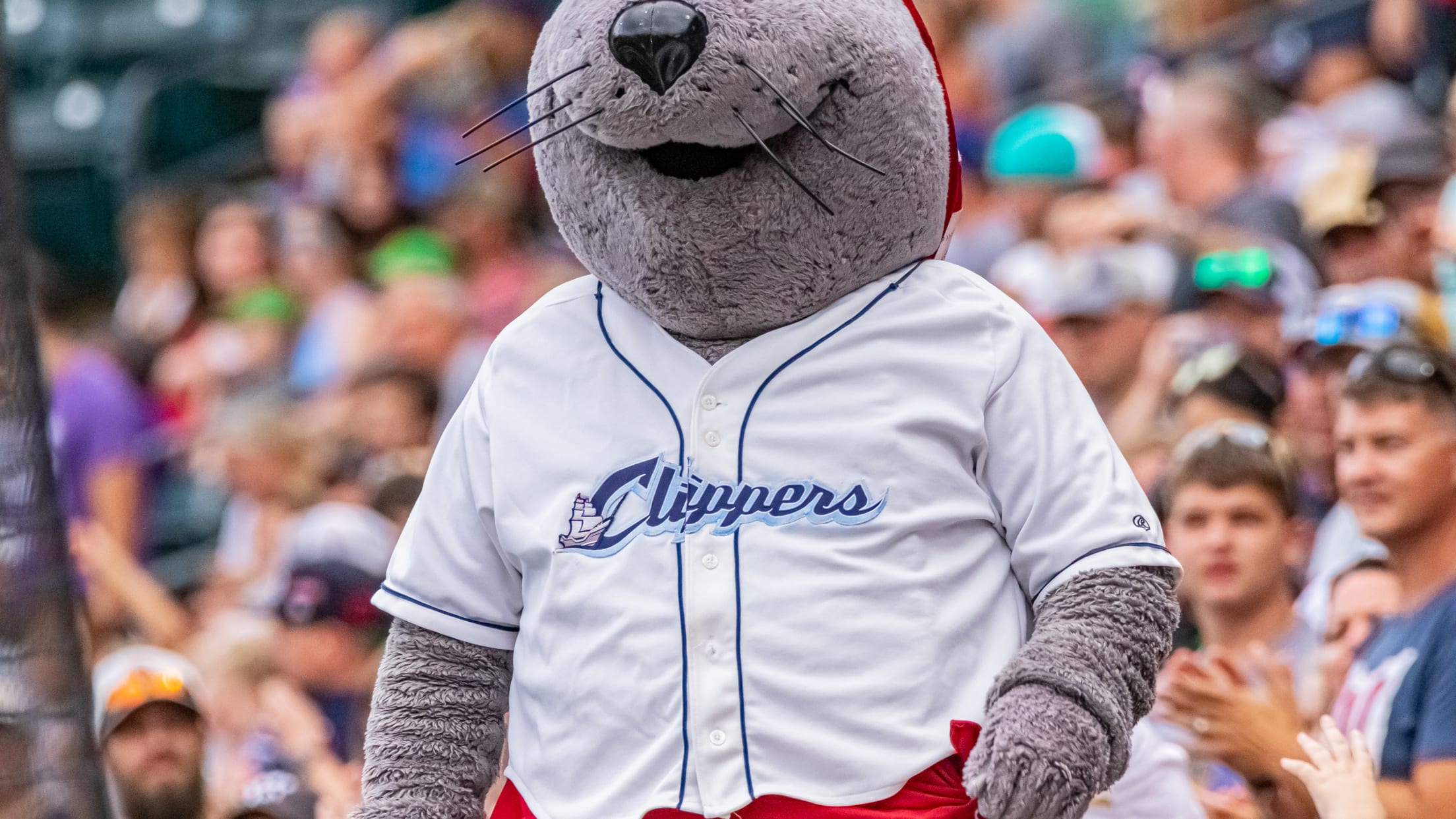 Columbus Clippers Minor League Baseball Fan Jerseys for sale