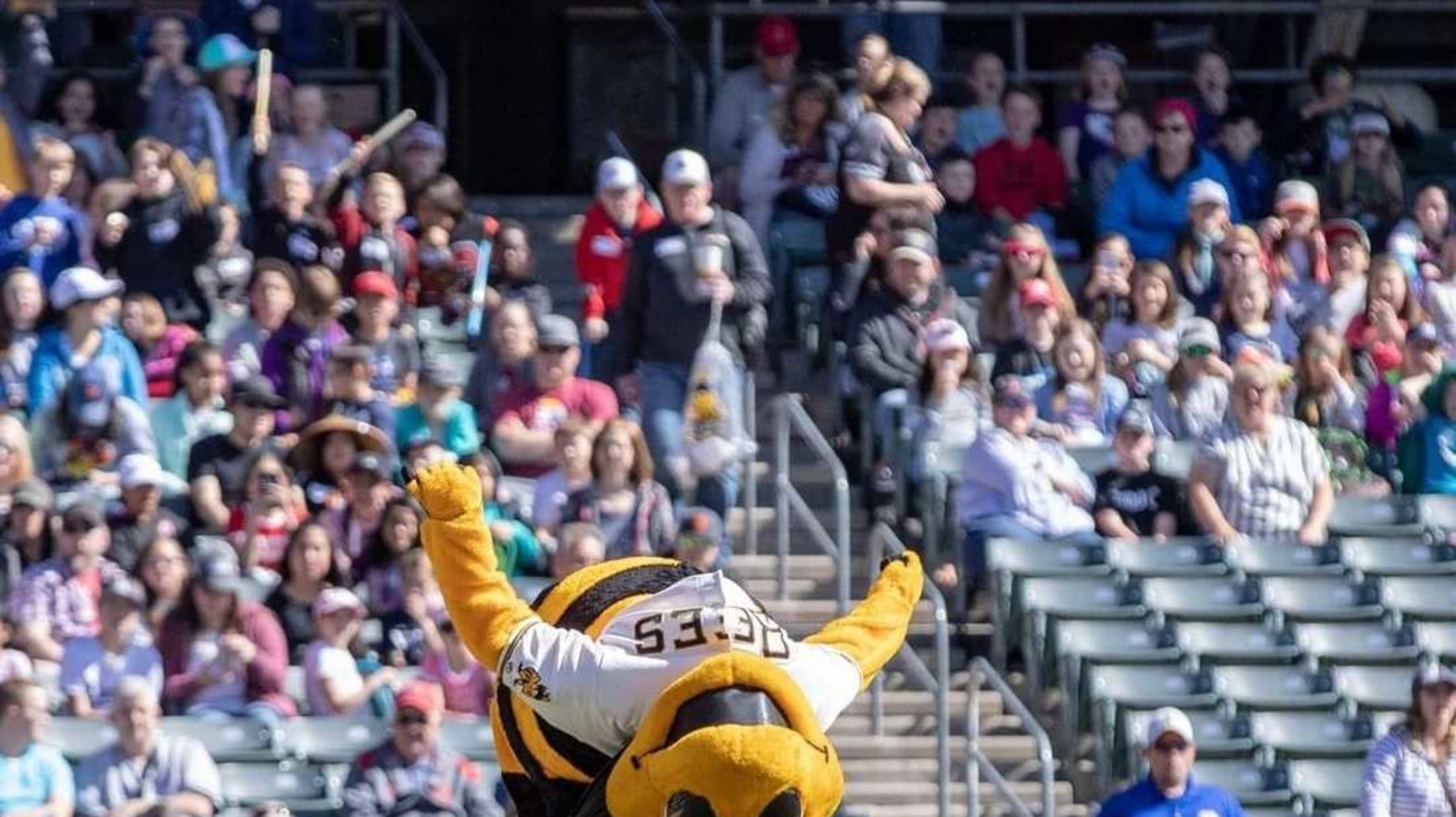 Salt Lake Bees on X: Smith's Ballpark has the largest crowd in @milb  tonight! Thank you to all 14,354 fans in attendance!   / X