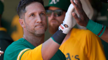 Is Yan Gomes Brazilian? Nationality and ethnicity of Cubs catcher