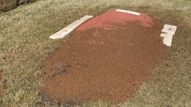 Jared Hughes Builds Mound In Backyard