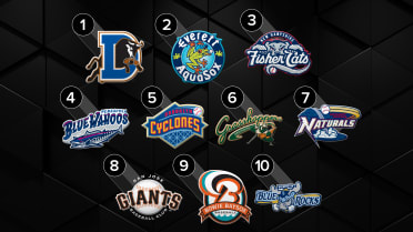 Minors Madness, the quest for the top team name in MiLB: Round 2 - The  Athletic