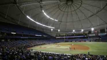 Tropicana Field Renovations - DeLotto