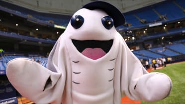 MLB Mascots Uniforms #6 Tampa Bay Rays : r/MLBTheShow