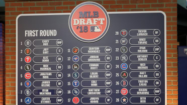 2017 Major League Baseball Draft: Auburn Tigers Coming Out Strong So Far -  College and Magnolia