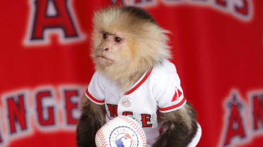 History of the Angels' Rally Monkey