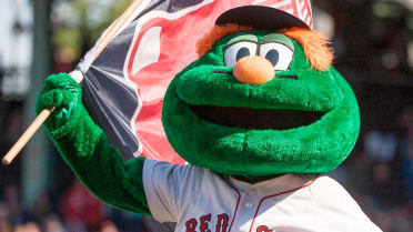 Mascot teddy holding red sox, baseball disguise