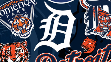 Buy MLB Detroit Tigers Unisex Detroit Tigers Fans Welcome Sign, Team Color,  6 x 12 Online at Low Prices in India 