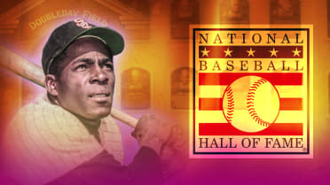 Men's Teambrown Minnie Miñoso New York Cubans Baseball Hall of Fame 2022  Induction Name & Number