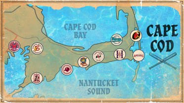 Cape Cod League 2022 Schedule How The Cape Cod League Became Prospect Heaven