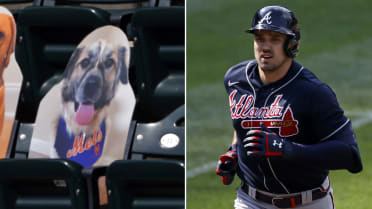 MLB Teams Welcome Cardboard Cutouts of Dogs, Cats in Stands