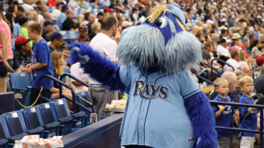 michaeldanger19] the Rays have a tertiary stingray mascot no one knows  about but the local fans : r/baseball