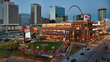 cardinals nation