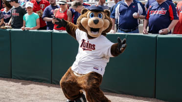 T.C. Bear | Minnesota Twins