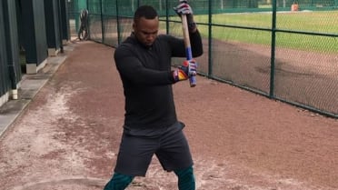 Marlins slugger Giancarlo Stanton destroys a tire with a sledgehammer in  workout video