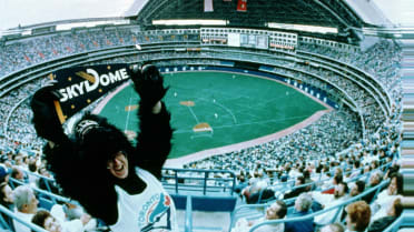 A Short History of the World's First Retractable Stadium Roof