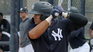 Yankees' Jasson Dominguez gets major hype from Nick Swisher