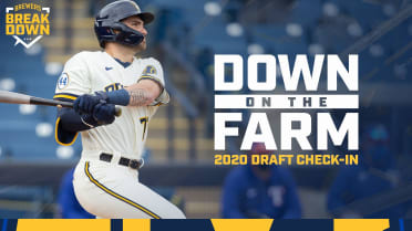 Brewers 2022 roster breakdown