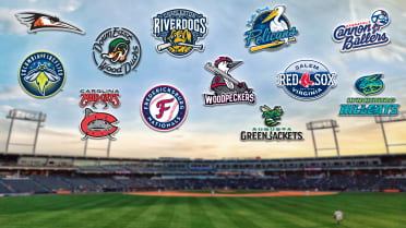 Minor League Baseball Starts 2015 with New-Look Teams