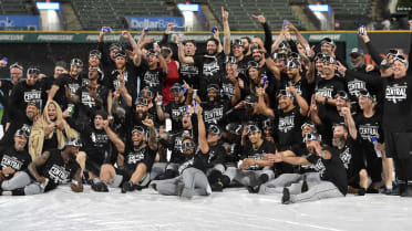 Chicago White Sox Are Central Division Champions! - South Side Sox