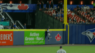 Aaron Judge showed off defensive chops with home run robbery