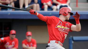 St. Louis Cardinals Spring Training Jersey - Jeremy Hazelbaker