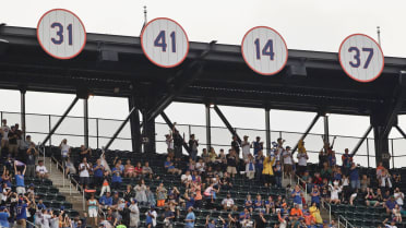 New York Mets Retired Numbers Set | Zip File 9 PNGs | Digital Download