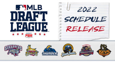 MLB Draft League (@mlbdraftleague) / X
