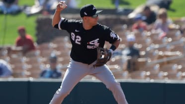 Chicago White Sox roster: RHP Zack Burdi, Dane Dunning, 5 others