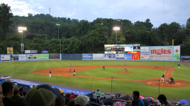 Astros' minor league stadium in Corpus Christi suffers only minor damage