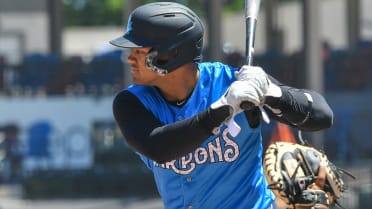 Tampa Tarpons on X: B-3rd: HOME RUN! Jasson Dominguez ties the