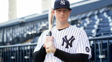 MLB final stats: LeMahieu wins batting title, Voit claims HR crown