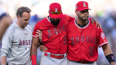 MLB on X: Baseball is in their DNA. 🧬 These newly-signed younger brothers  are looking to add to the family legacy.  / X