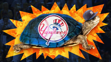 Yankees announce details of Bronxie the Turtle's new home (PHOTOS