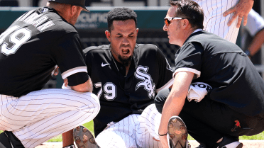 Jose Abreu exits game after being hit by pitch; X-rays negative