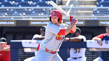 Cardinals' prospect Brendan Donovan continuing climb at AFL